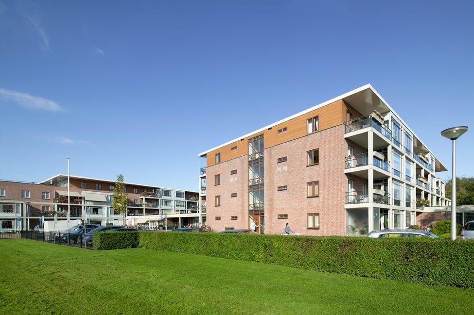 Foto - f4c437db1b6ac33f89fadbd71efa75c8_07102025_054446_4827352_dpi-correction.JPG_dpi-correction.jpg